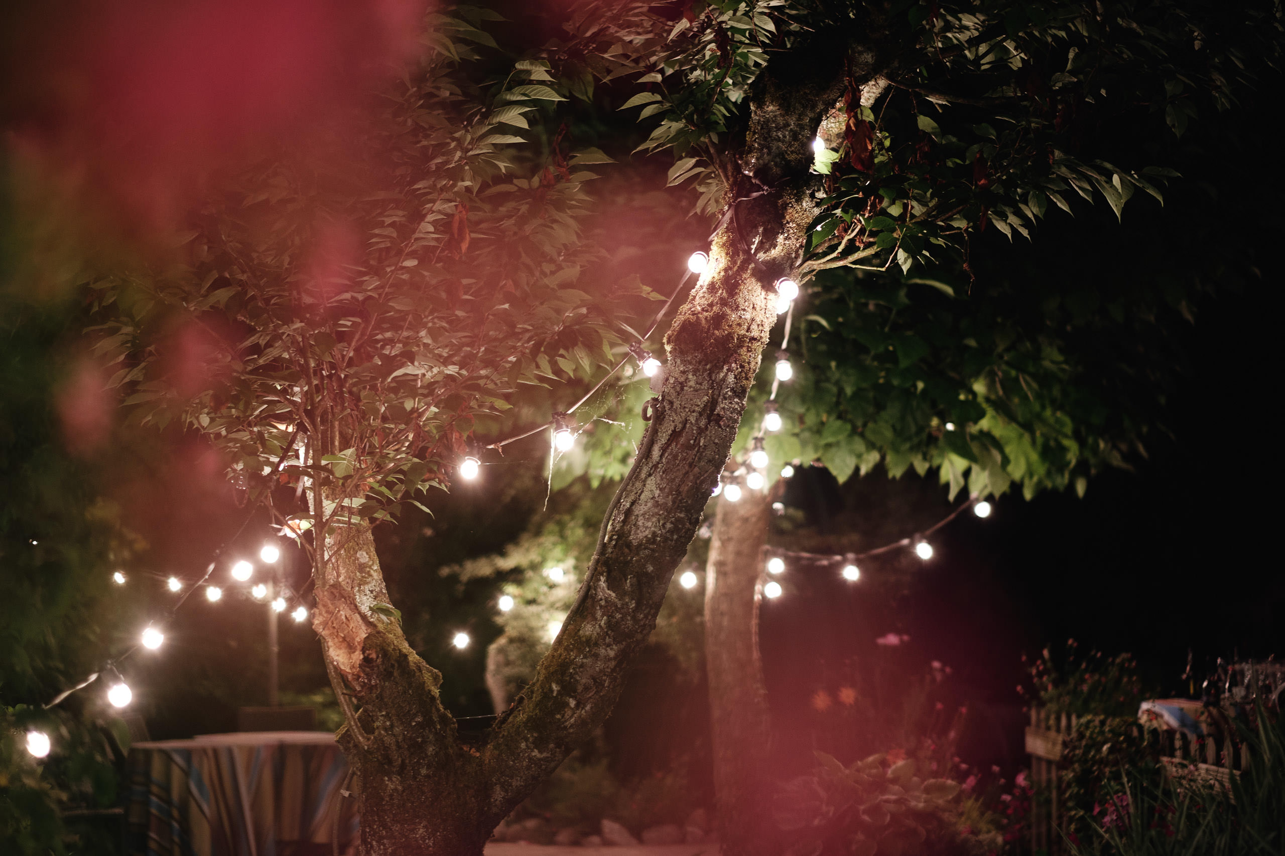 Jardin de La Grange à Jules de nuit