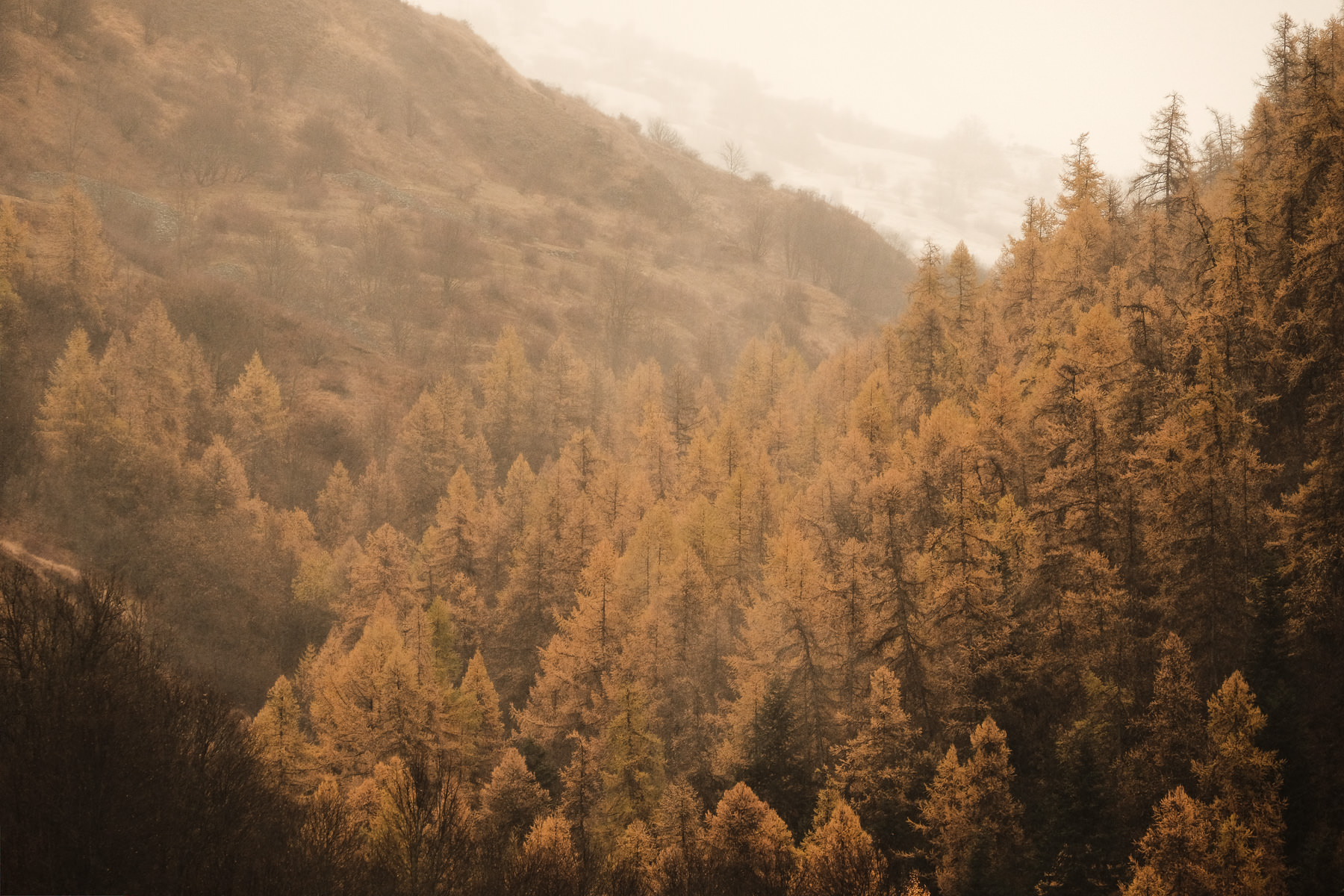 Couleurs d'automne à Valloire depuis l'appartement