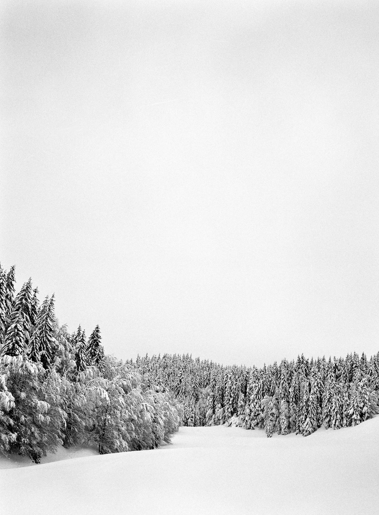 Balade au Revard sous la neige, HP5 + Fuji GA 645 moyen format