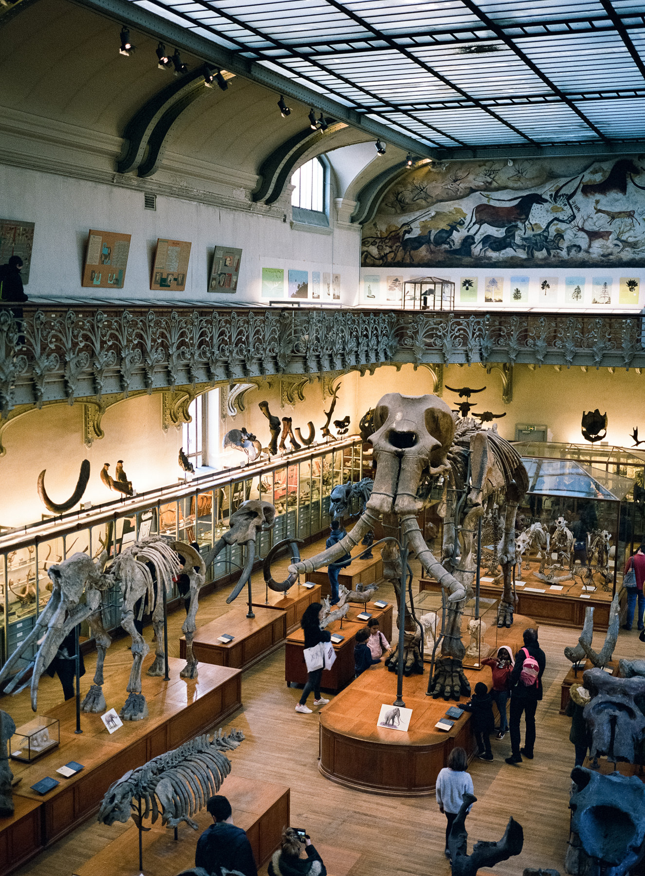 Galerie de paléontologie, Paris - moyen format argentique