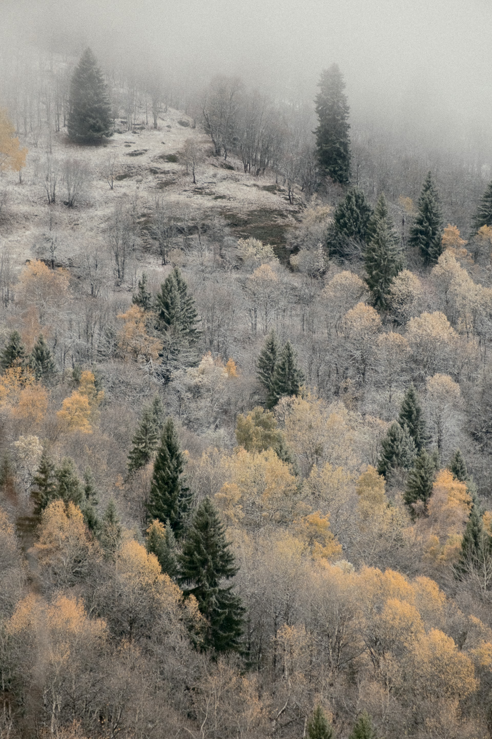 Couleurs d'automne à Méribel