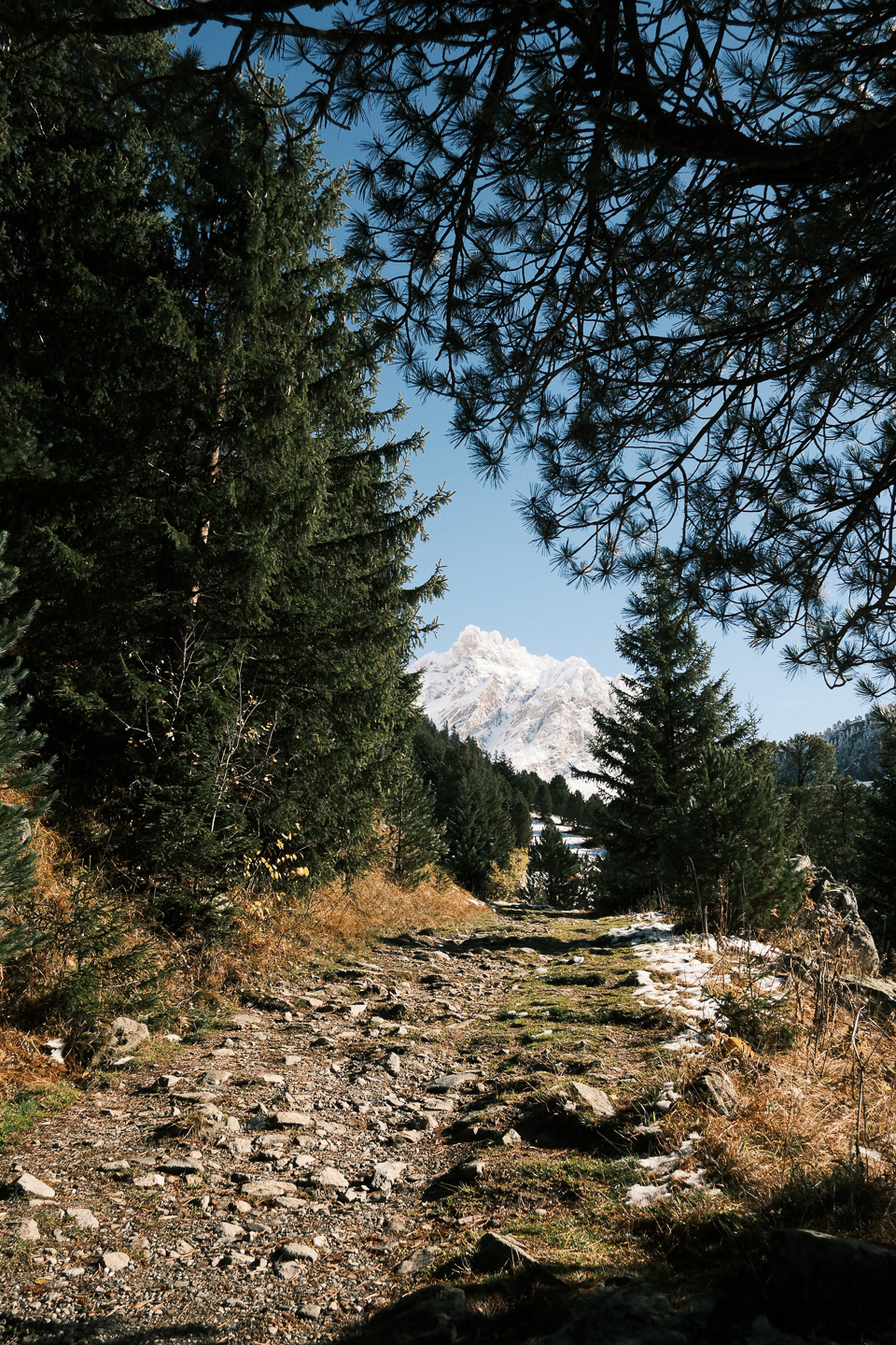 Vallon du Fruit - Réserve naturelle du Plan de Tuéda - Vanoise © Thibaud Epeche - https://www.thibaudepeche.com