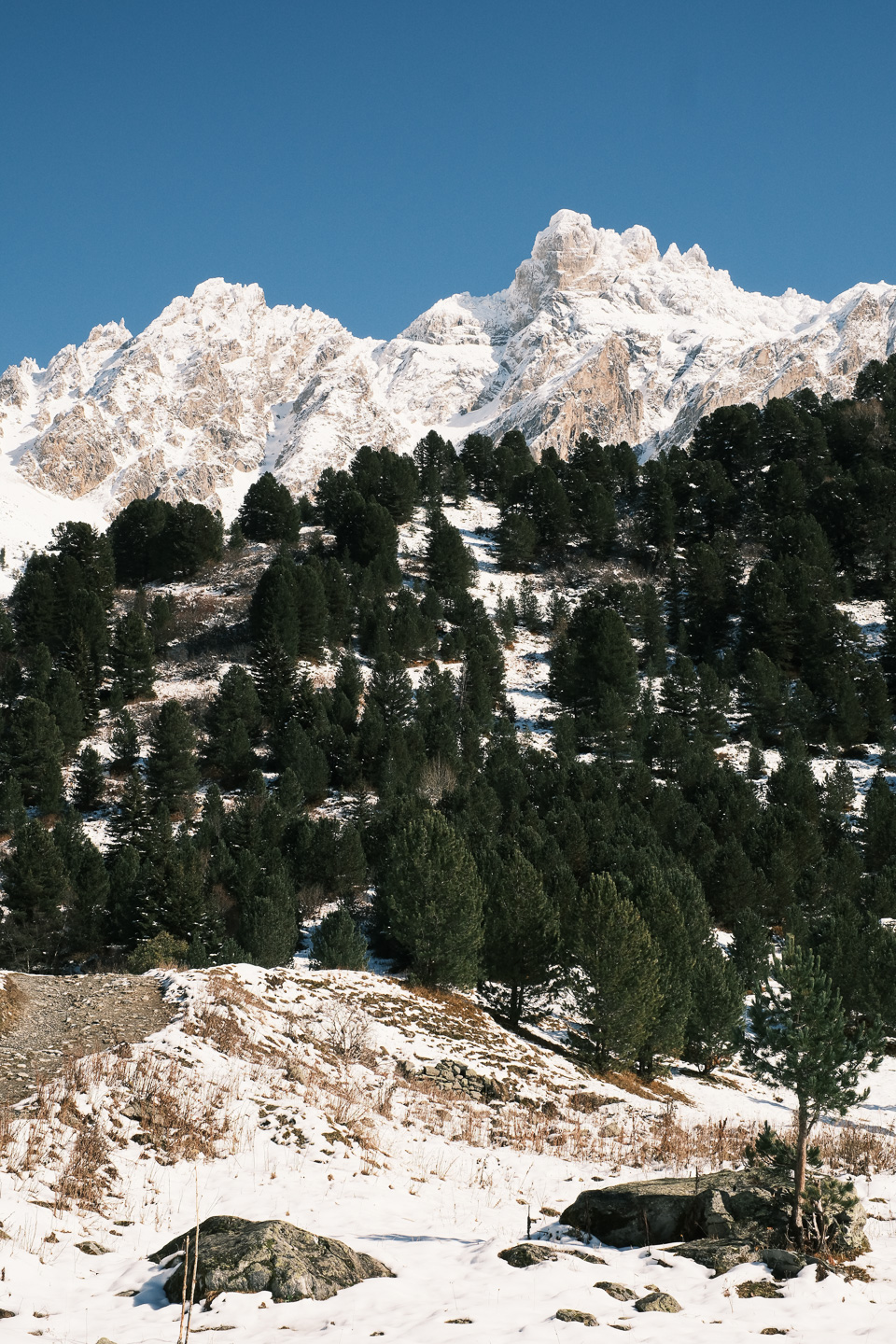 Aiguille du Fruit - Réserve naturelle du Plan de Tuéda - Vanoise
