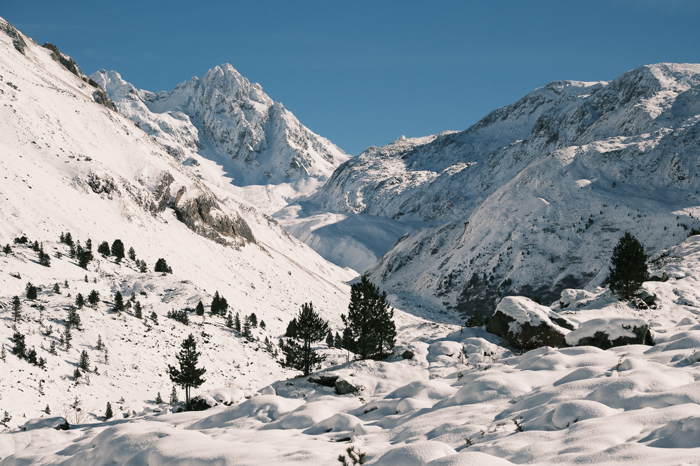Vallon du Fruit - Réserve naturelle du Plan de Tuéda - Vanoise © Thibaud Epeche - https://www.thibaudepeche.com