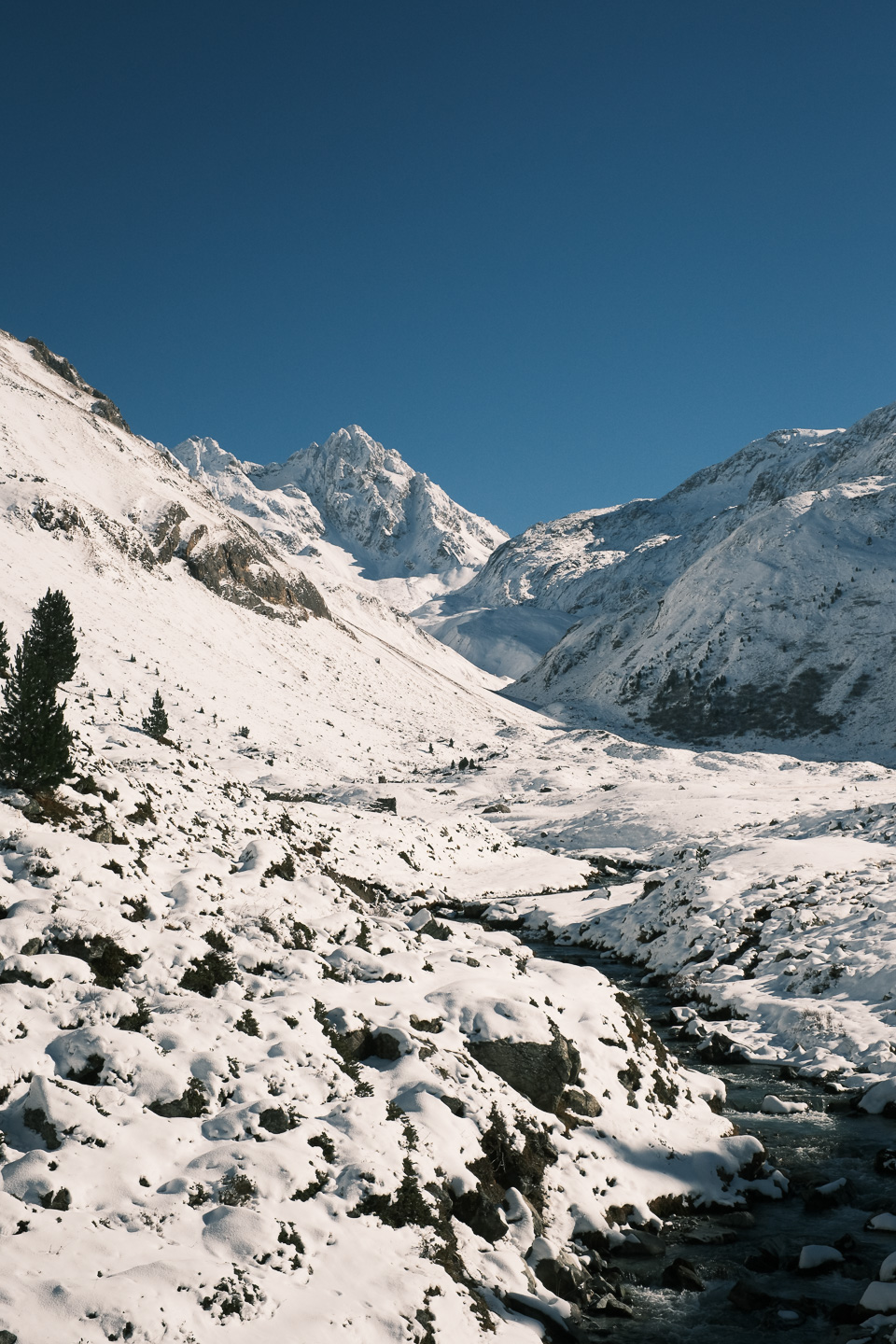 Vallon du Fruit - Réserve naturelle du Plan de Tuéda - Vanoise © Thibaud Epeche - https://www.thibaudepeche.com